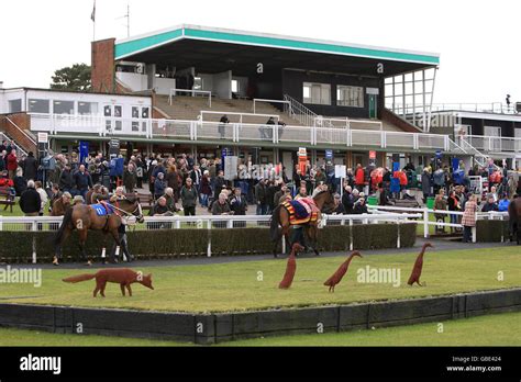 market rasen racecourse photos|311 Market.